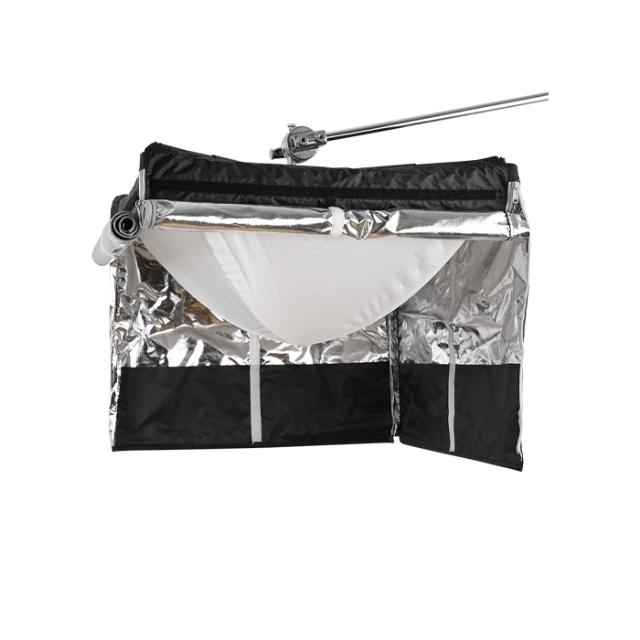 AMARAN LANTERN FOR F22