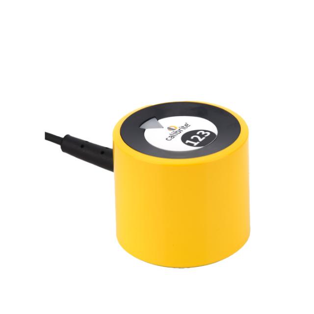 CALIBRITE DISPLAY 123