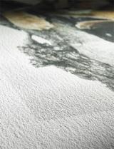 HAH10640118-LANG1-64db1537-5b9c-43b9-b8f6-7a34687b3a82