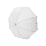 NAN118861-LANG1-67abe23e-4120-4f47-ab28-aaa5396ef69d