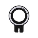 CAM99070716-LANG1-6e6c085b-c702-4ea3-b44f-6f4540ffa3c5