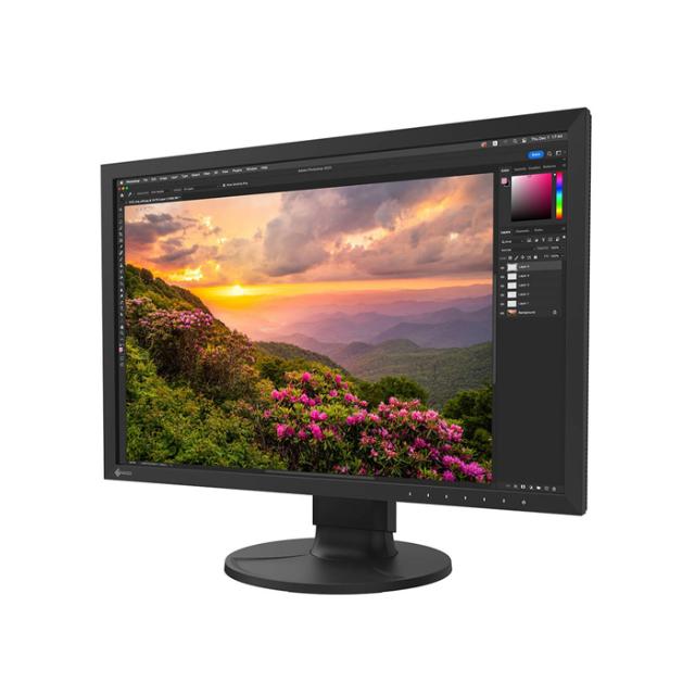 EIZO 24