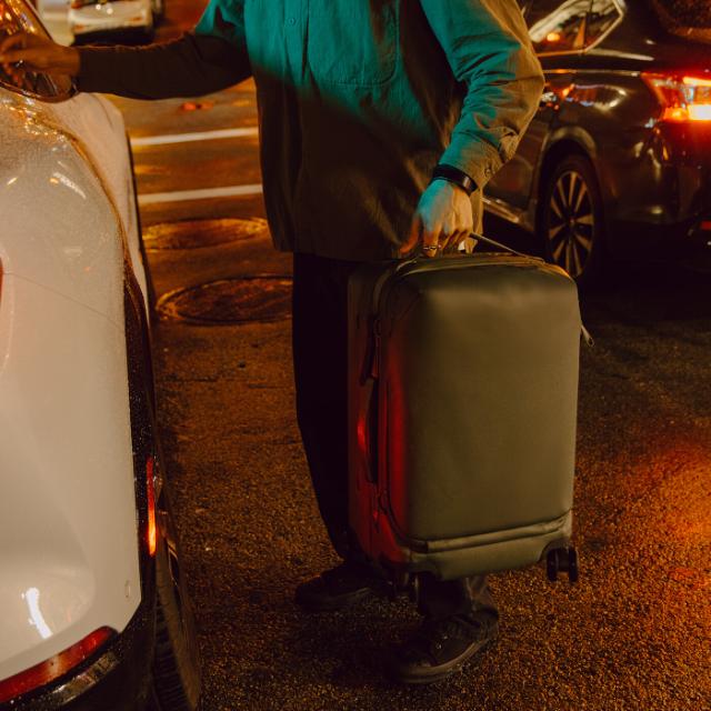 Peak Design Roller Pro Carry-On, Sage