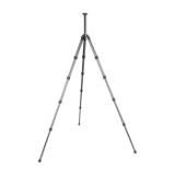 SIR115374-LANG1-71b39084-faea-4164-ac6d-fbe7d60ead3f