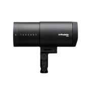 RENTAL90481-LANG1-752f1892-d164-4370-b295-622861076e50