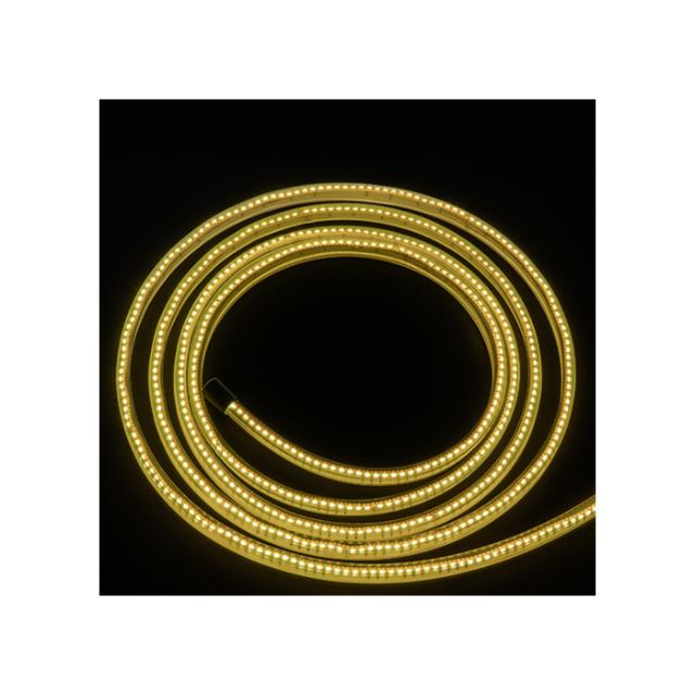 ATOMOS SUN DRAGON 5M