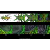 LAOWA131786-LANG1-7926bc4a-b27d-4876-a337-cff8908f6f69