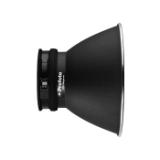 PROF100793-LANG1-7c3b45b2-5aa6-438d-bda8-6181ee10739c