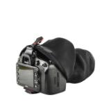 PEAK123298-LANG1-7d2377cb-9b05-47ff-b9ea-f7a7c95efac1