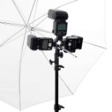 LAS2423-LANG1-7f399a8b-09a7-4cba-96da-78b2414c9f4f