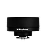 PROF901310-LANG1-7f3bc7b1-e379-4585-a808-cc7808b08235