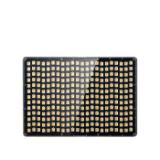 APUP60X-LANG1-806b9356-add3-4ea1-bceb-48a1adac96f6