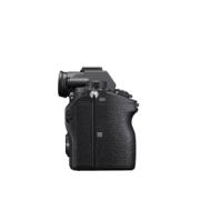 RENTAL50881-LANG1-825416f3-ee39-43e8-9e59-c86b99093984