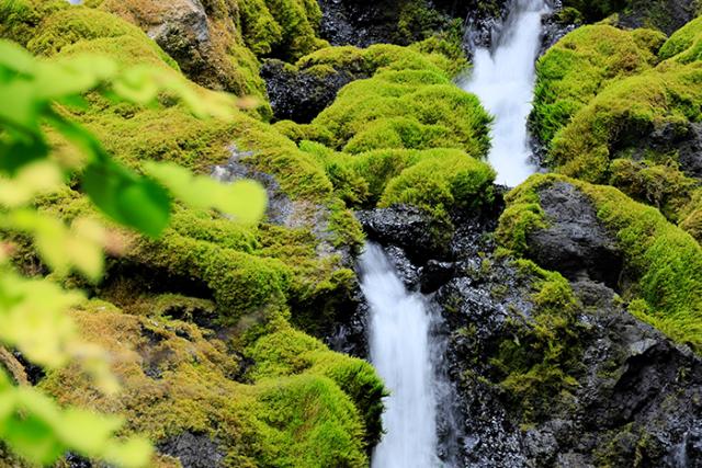 CANON RF 100-400MM F/5,6-8 IS USM