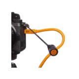 TG020-LANG1-8487c528-8b73-4491-a21f-856ba48633fd