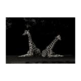 DIVBOG67-LANG1-84c65b93-7215-4026-a131-38136a3f1472