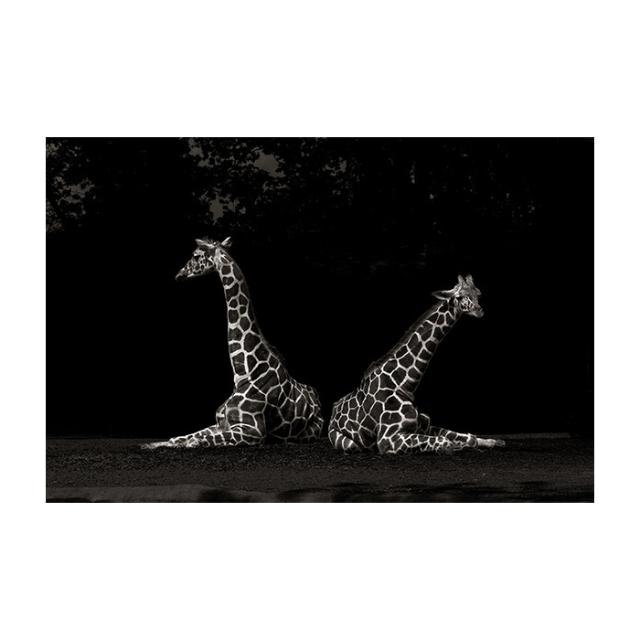 ALL THE THINGS YOU ARE - FIE JOHANSEN