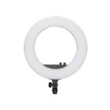 NAN111979-LANG1-86455f65-7102-4430-a238-c5ee318bf52f