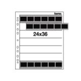 HAM0676-LANG1-8839dc26-12a5-4cd1-93b2-c6432a9ea09a