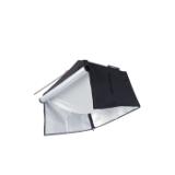 SBFB1-C4-LANG1-89d429cc-4043-47c4-bd08-9a765a816afb