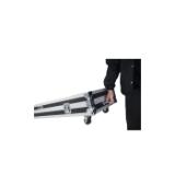 NAN124995-LANG1-8b004695-87f4-49cf-bce6-3cd7001ca4fc