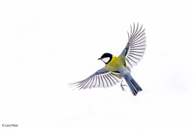 SONY (E) FE 400-800MM F/6,3-8 G OSS Ø105