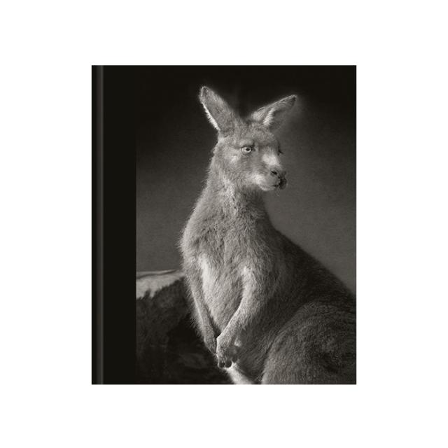 ALL THE THINGS YOU ARE - FIE JOHANSEN