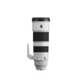 SONSEL200600G-LANG1-962d6cca-bf44-47cc-9b21-17418f392a9f