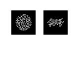 NAN117077-LANG1-96a527b0-90d2-4340-8623-3a852eef55dc