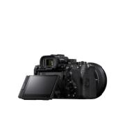 RENTAL95602-LANG1-96dd5566-ce95-4438-9611-be1a3f44c649