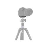 S4150-LANG1-985ae0b5-6d07-4568-83e7-5336ba901155