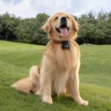 DJI489832-LANG1-9bb294a4-3eab-42d8-b536-750295175453