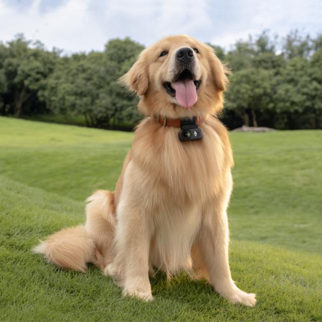 DJI Osmo Nano (128GB)