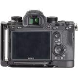 REALLYBA9-L-LANG1-a6267118-7e62-438c-bf53-7ed4b4b4042d