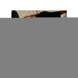 PEAK134507-LANG1-ae1da2fd-c1eb-4c8f-ac64-fd6e6a334025