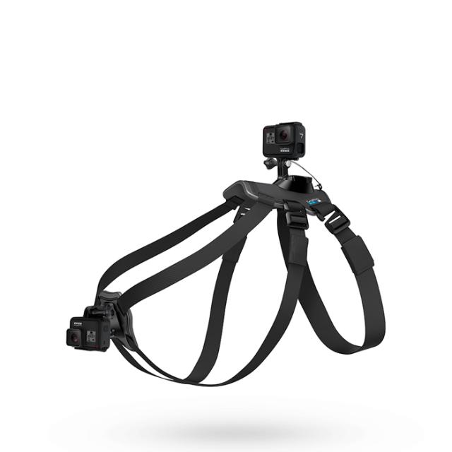 GOPRO HERO FETCH DOG HARNESS