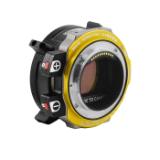 790-0799-LANG1-b3d811e1-be4d-44ce-9701-9968a728db5a