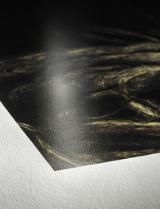 HAH10643199-LANG1-b945749c-1aba-4b0a-bd23-905a8eeaa65f