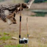 PEAK127539-LANG1-b9fa1366-f360-4fc4-abcd-4953c055f6d8