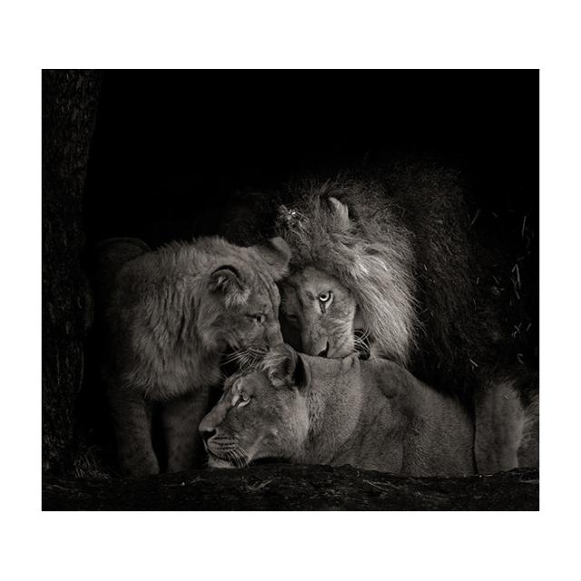 ALL THE THINGS YOU ARE - FIE JOHANSEN