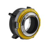 790-0801-LANG1-c0f3e7bb-d2d6-472a-acb4-227cc49a54c4