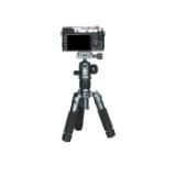 SIR128818-LANG1-c446b6af-2f3e-41e0-8ba1-621732197ec7