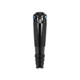 SIR121536-LANG1-c79857ad-eb4e-4ff3-a134-1c12dc96eea5