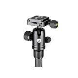 MAF680964-LANG1-c85af4bb-b20c-447e-a0b9-ae853b4ef955