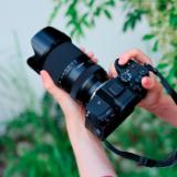 TAM134926-LANG1-cb99a7a6-995b-41b5-b8a4-5081abb3a052