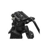 S5111-LANG1-ccc4c8c2-4c22-450e-87ed-69805cada62b