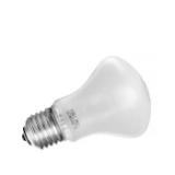 ELI23002-LANG1-ceec6a46-b9e3-493d-b62a-2ee2af8147dc