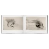 DIVBOG34-LANG1-d1bc59de-97ee-4f51-b741-b936919a2e3f