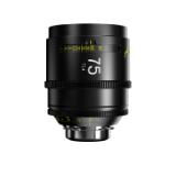 DZO-SAP75MPL-LANG1-d2aab227-6f25-4ce2-9614-ab803d30ee75