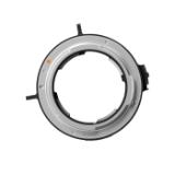 DZO-TP-MPLARF-LANG1-d49734ea-564e-4c19-92fc-b2a6fbda86e6